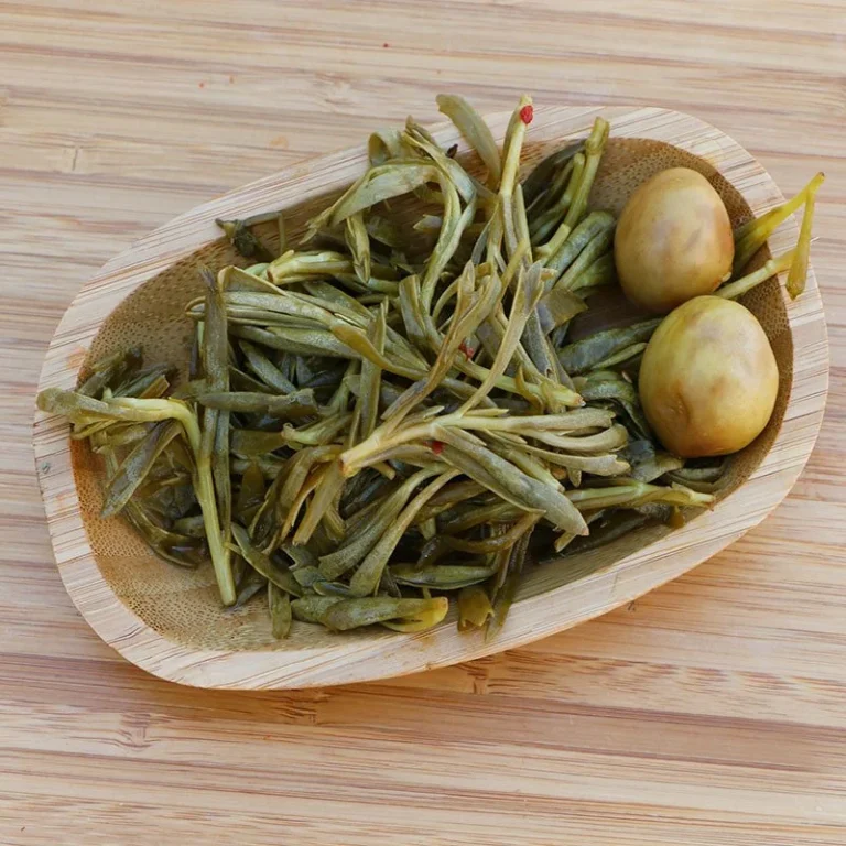 Kaya Koruğu